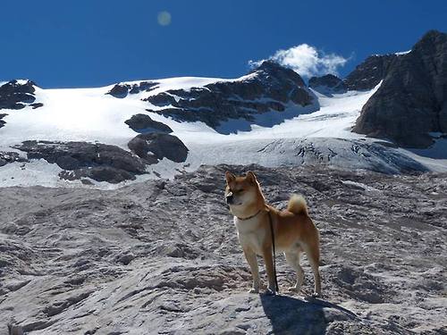 九游电脑版-世界滑板锦标赛中国选手获最佳新秀，世界滑板大赛冠军
