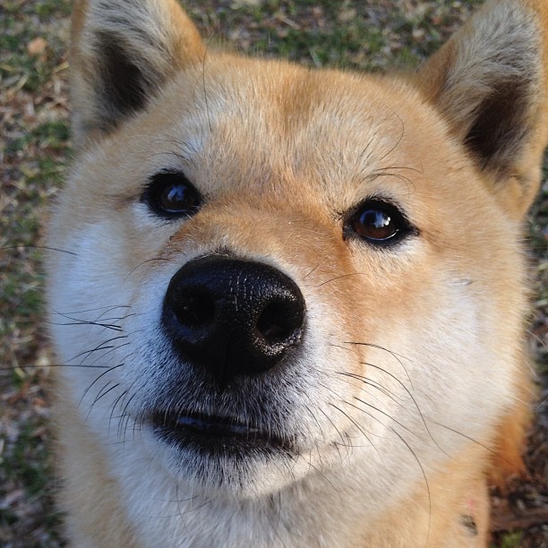 大学生体育锻炼行为特征与干预机制研究,大学生体育锻炼行为的行动阶段