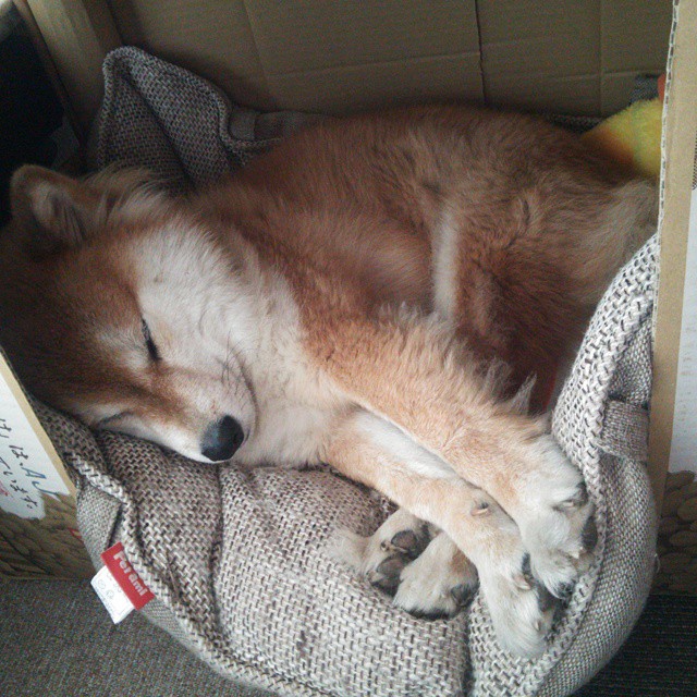 青少年体育赛事裁判培训，青少年体育锦标赛