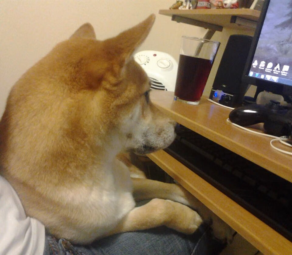 中国三人篮球男队拓展战术深度多点开花,中国三人篮球队员资料