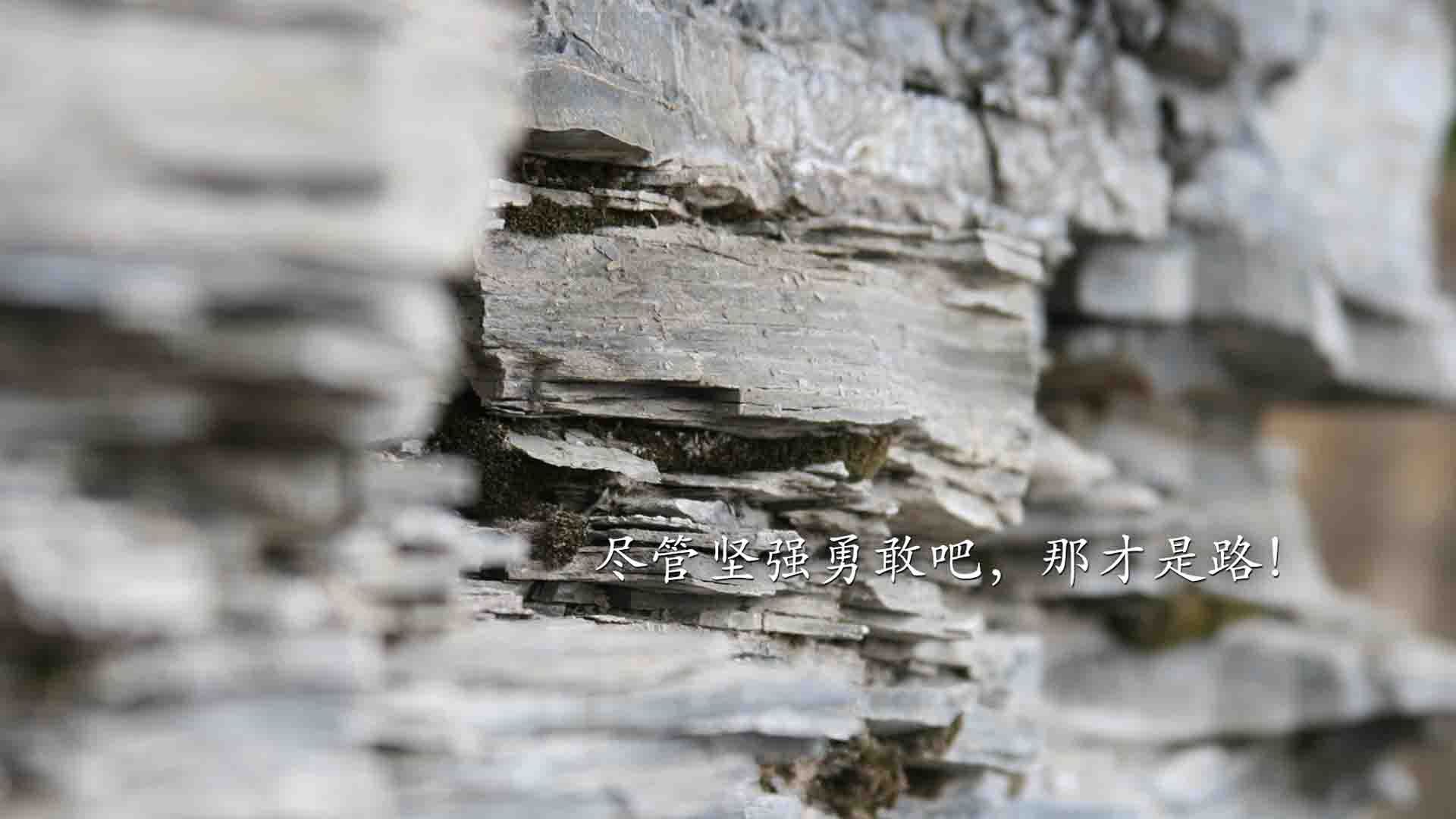 九游娱乐APP-中国队东亚杯惨败 战术解读值得深思，东亚杯中国战绩