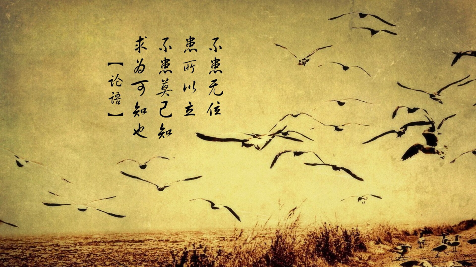 中超球队备战期体能训练强度升级，中超球员身体素质