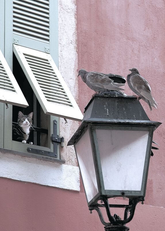 九游APP官网-体育新闻中心承办数字体育生态发展论坛，数字体育产业发展