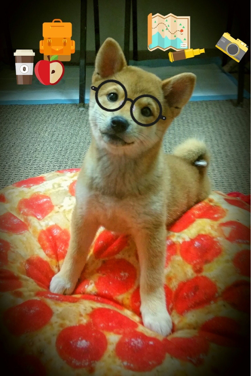 出发反应最快选手夺冠概率有多高？，反应最快的职业选手