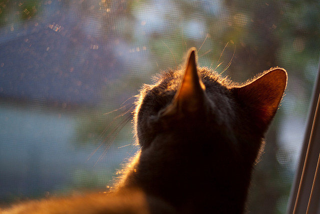 国际热身赛国足迎战 战术调整效果显著,国足热身赛安排