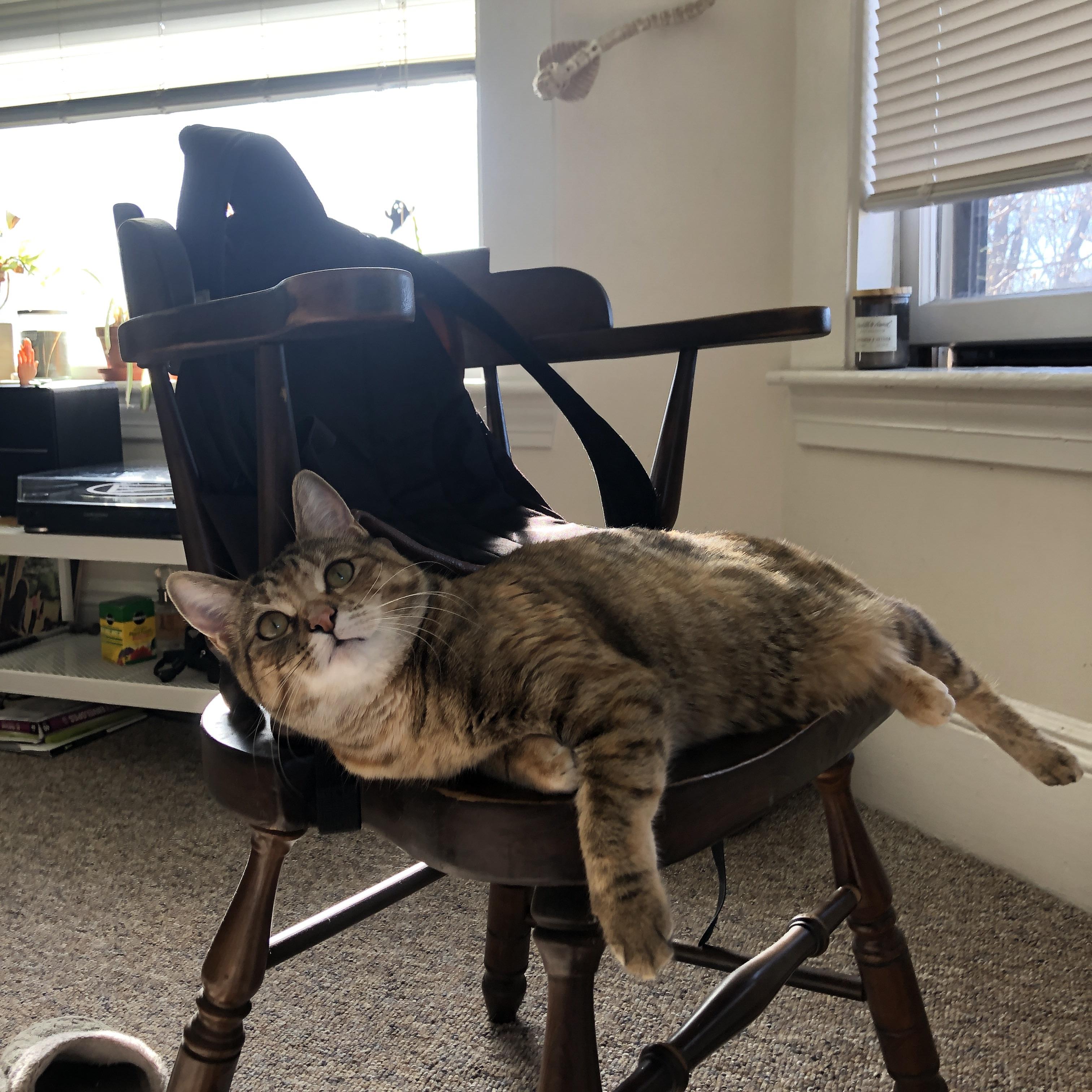 九游娱乐官方平台-战术多样化成为中国篮球新课题，篮球战术理念