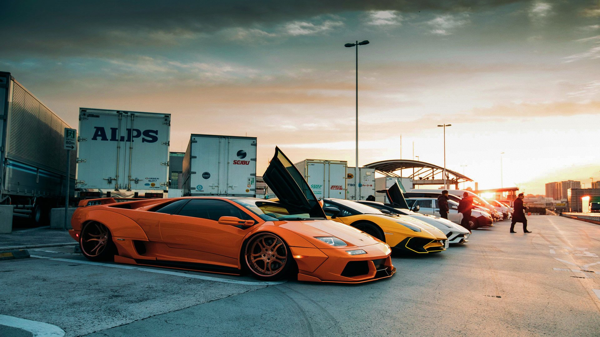 澳男泳队新星闪耀首次亮相,澳运会游泳