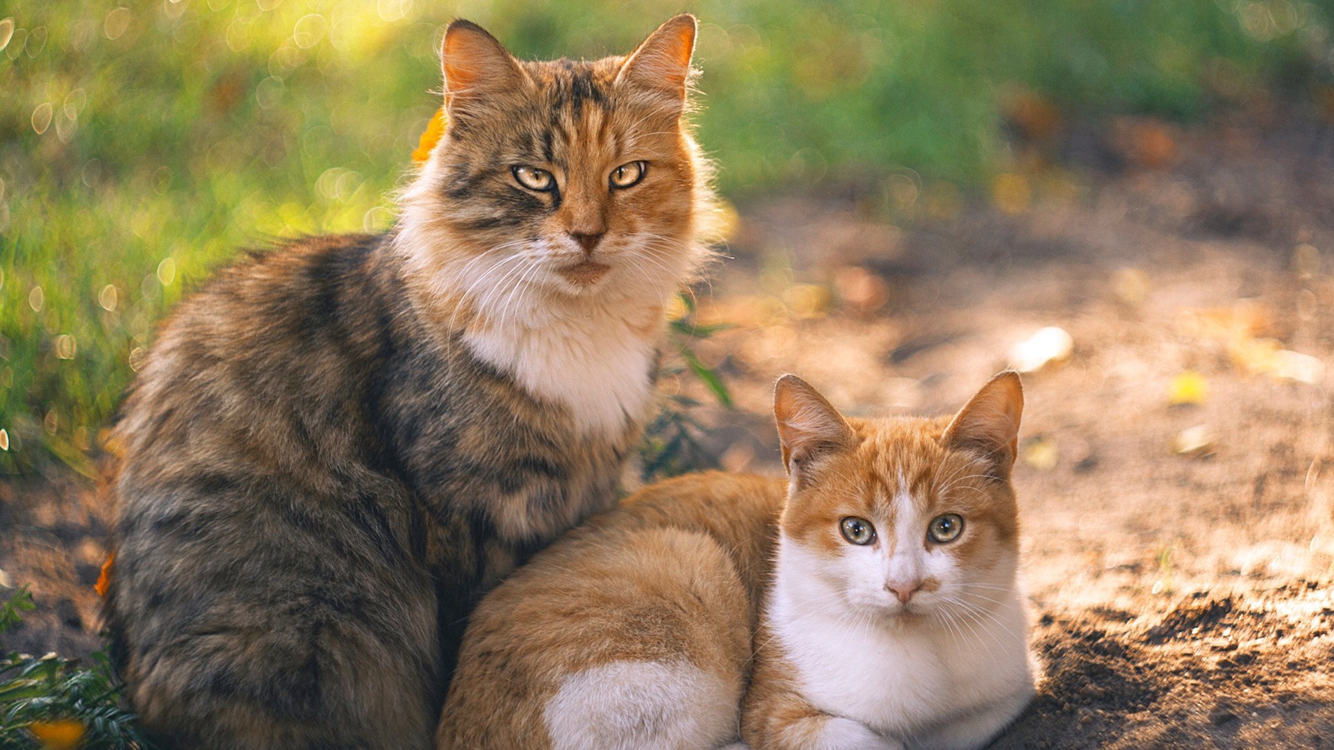 皇马边锋单挑突破成为得分关键，皇马套右边锋