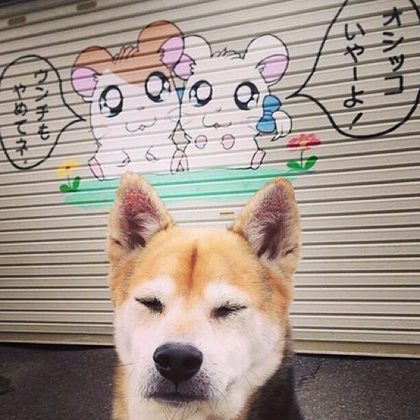 中国足球职业俱乐部参与社区足球节活动,基层足球协会组织机构