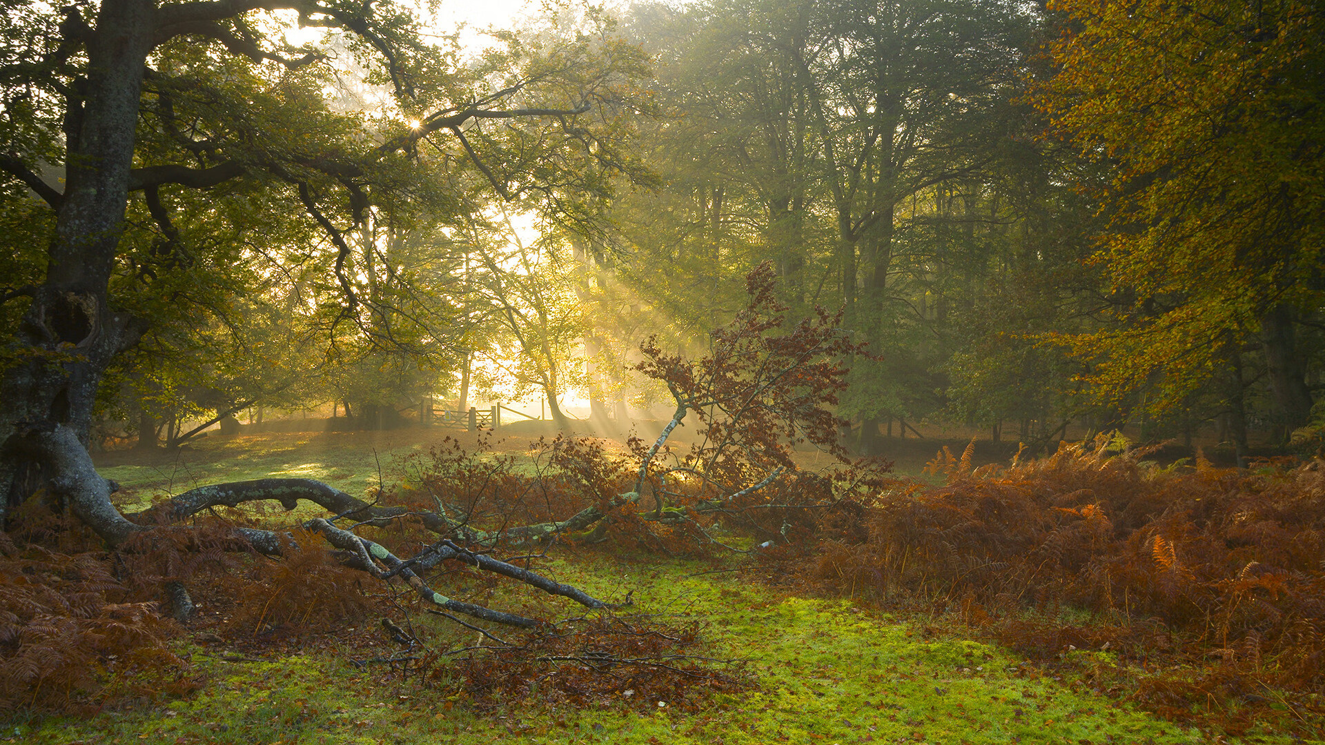 乌干达男篮在非洲预赛中奋勇争先,迈步奥运希望,乌干达全国篮球