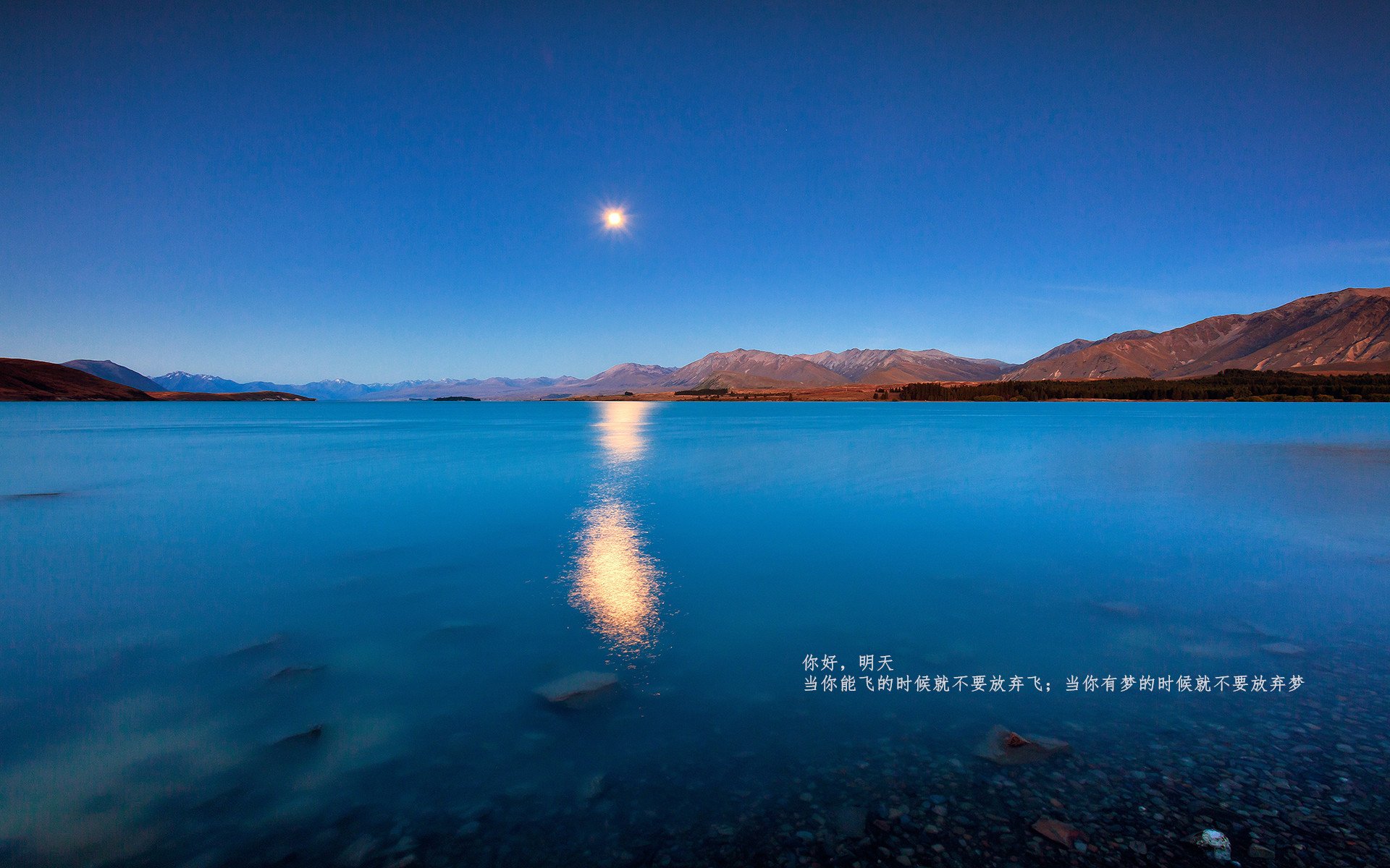 九游游戏-凯尔特人功勋教练荣获终身成就奖，凯尔特人功勋教练荣获终身成就奖的是谁
